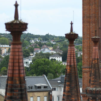 Bloggerevent auf der Rheingauer Weinwoche